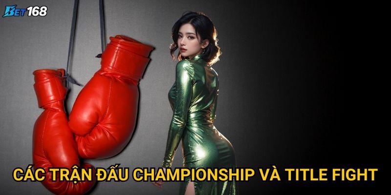 Quyền anh Bet168 thu hút fan võ thuật bằng điều gì? 3 Các trận đấu championship và title fight