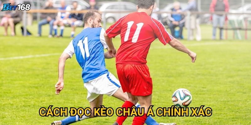 Cách đọc kèo châu Á chính xác