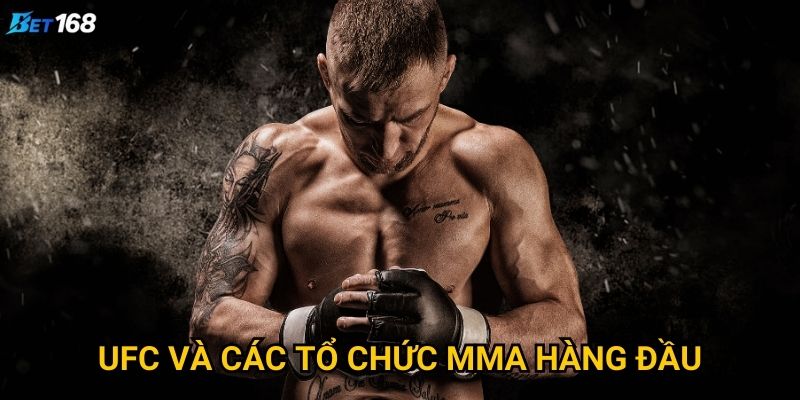 Võ thuật MMA Bet168 có gì đặc biệt cho fan UFC? 3 UFC và các tổ chức MMA hàng đầu